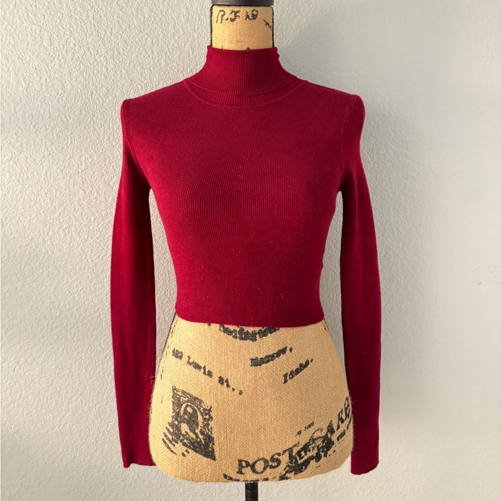 Forever 21 Cropped Turtle Neck Long Sleeve